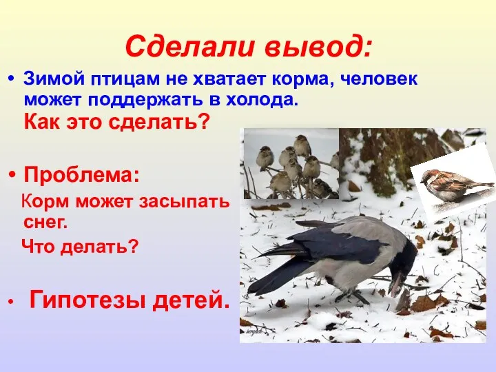 Сделали вывод: Зимой птицам не хватает корма, человек может поддержать
