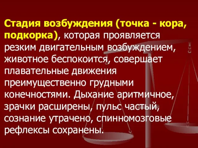 Стадия возбуждения (точка - кора, подкорка), которая проявляется резким двигательным