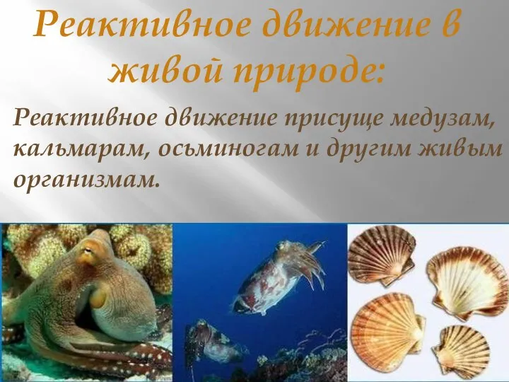 Реактивное движение в живой природе: Реактивное движение присуще медузам, кальмарам, осьминогам и другим живым организмам.