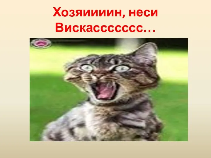 Хозяиииин, неси Вискассссссс…