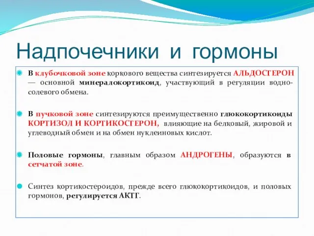 В клубочковой зоне коркового вещества синтезируется АЛЬДОСТЕРОН — основной минералокортикоид,