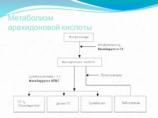 Метаболизм арахидоновой кислоты