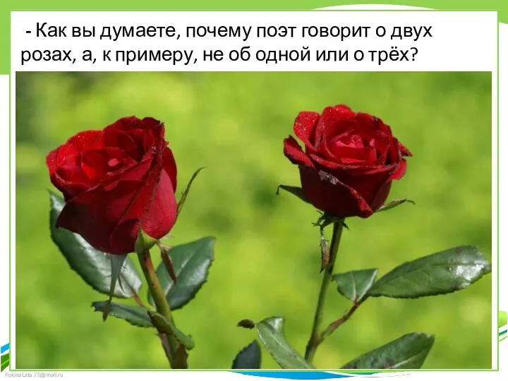- Как вы думаете, почему поэт говорит о двух розах,