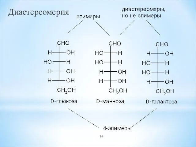 Диастереомерия