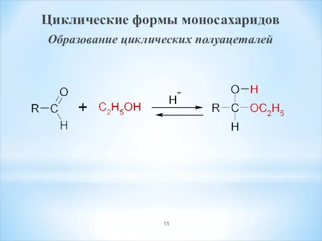 Циклические формы моносахаридов Образование циклических полуацеталей