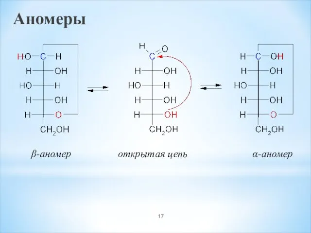 Аномеры β-аномер открытая цепь α-аномер