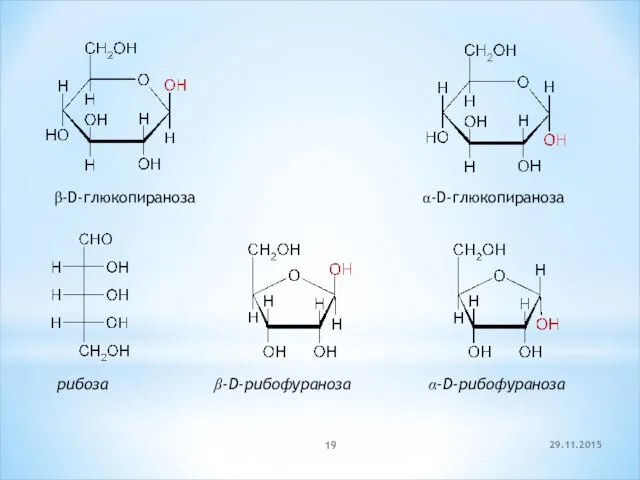 29.11.2015 β-D-глюкопираноза α-D-глюкопираноза рибоза β-D-рибофураноза α-D-рибофураноза