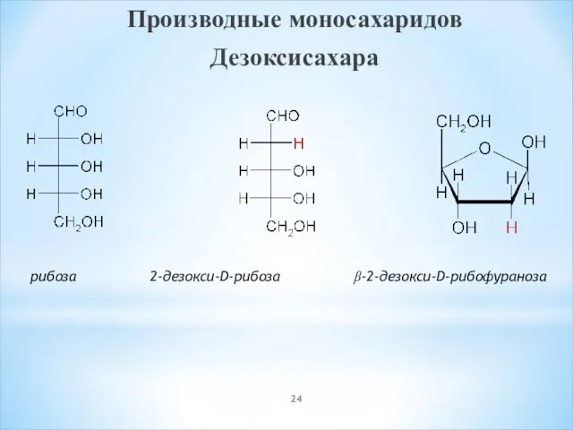 Производные моносахаридов Дезоксисахара рибоза 2-дезокси-D-рибоза β-2-дезокси-D-рибофураноза