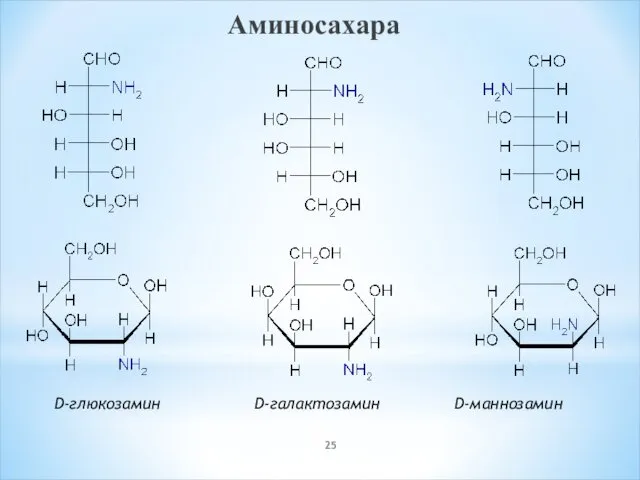 Аминосахара D-глюкозамин D-галактозамин D-маннозамин