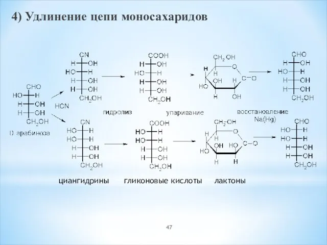 4) Удлинение цепи моносахаридов циангидрины гликоновые кислоты лактоны