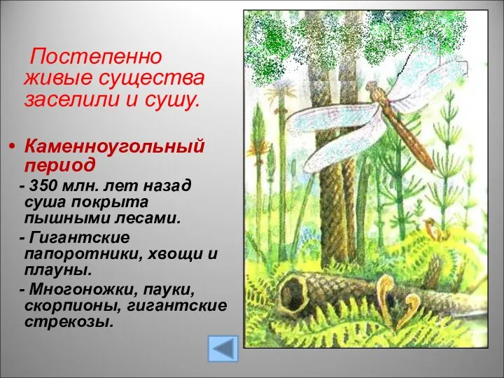 Постепенно живые существа заселили и сушу. Каменноугольный период - 350