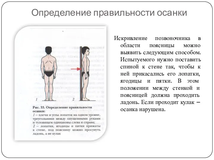 Определение правильности осанки Искривление позвоночника в области поясницы можно выявить следующим способом. Испытуемого