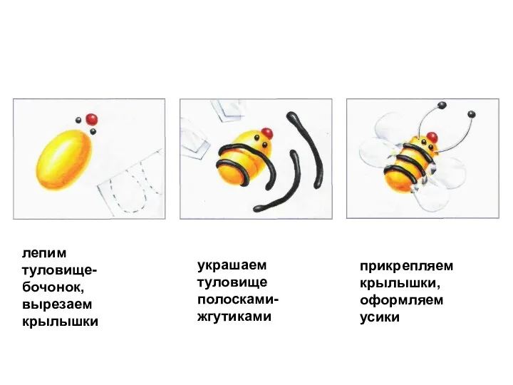 лепим туловище-бочонок, вырезаем крылышки украшаем туловище полосками-жгутиками прикрепляем крылышки, оформляем усики