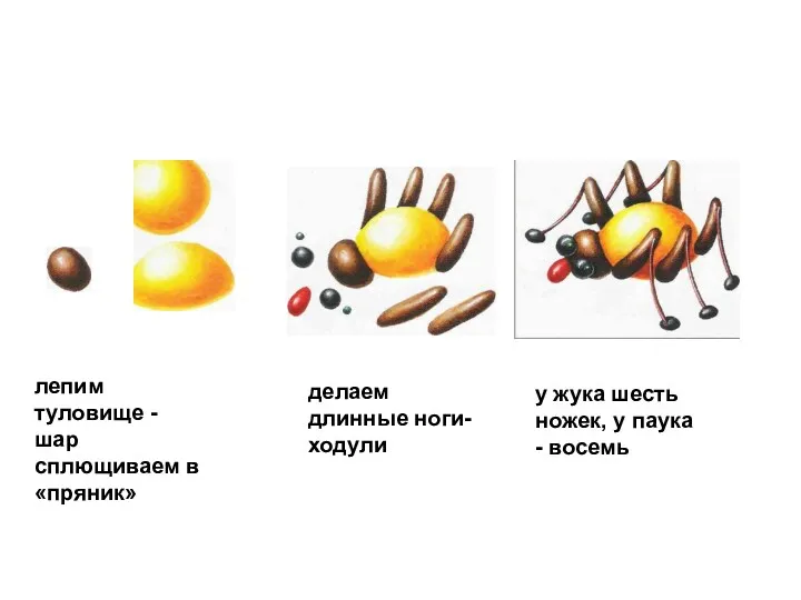 лепим туловище - шар сплющиваем в «пряник» делаем длинные ноги-ходули у жука шесть