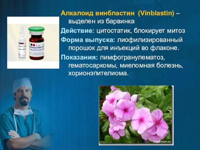 Алкалоид винбластин (Vinblastin) – выделен из барвинка Действие: цитостатик, блокирует