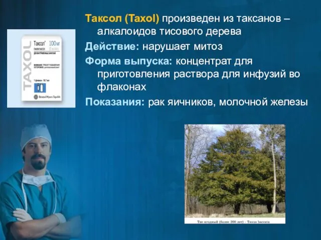 Таксол (Taxol) произведен из таксанов – алкалоидов тисового дерева Действие: