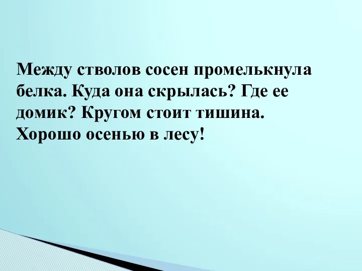 Между стволов сосен промелькнула белка. Куда она скрылась? Где ее