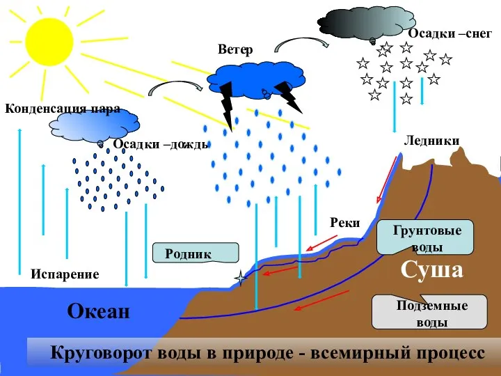 Испарение Конденсация пара Осадки –дождь Осадки –снег Ветер Круговорот воды