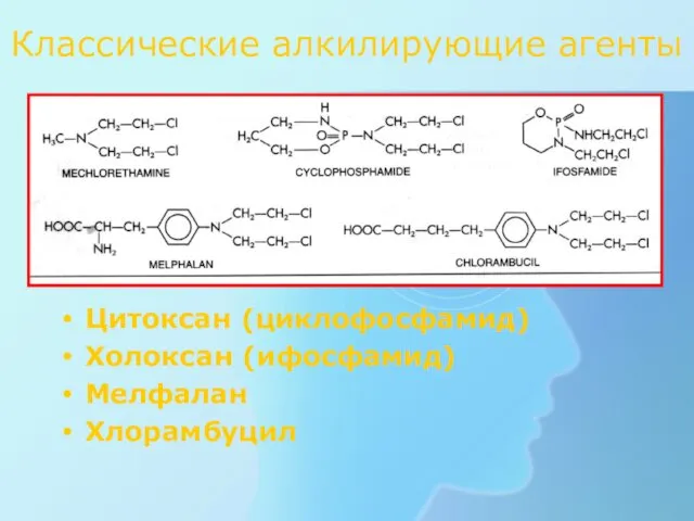 Классические алкилирующие агенты Цитоксан (циклофосфамид) Холоксан (ифосфамид) Мелфалан Хлорамбуцил