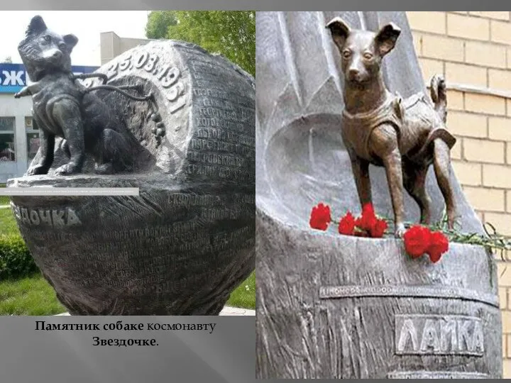 Памятник собаке космонавту Звездочке. Памятник первому живому существу в космосе
