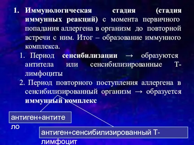 Иммунологическая стадия (стадия иммунных реакций) с момента первичного попадания аллергена