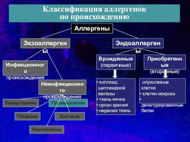 Классификация аллергенов по происхождению Аллергены Эндоаллергены Экзоаллергены Приобретенные (вторичные) Врожденные