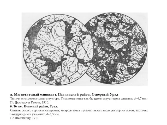 а. Магнетитовый оливинит. Павдинский район, Северный Урал Типичная сидеронитовая структура.