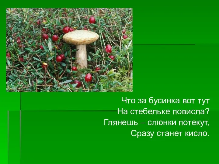 Что за бусинка вот тут На стебельке повисла? Глянешь – слюнки потекут, Сразу станет кисло.