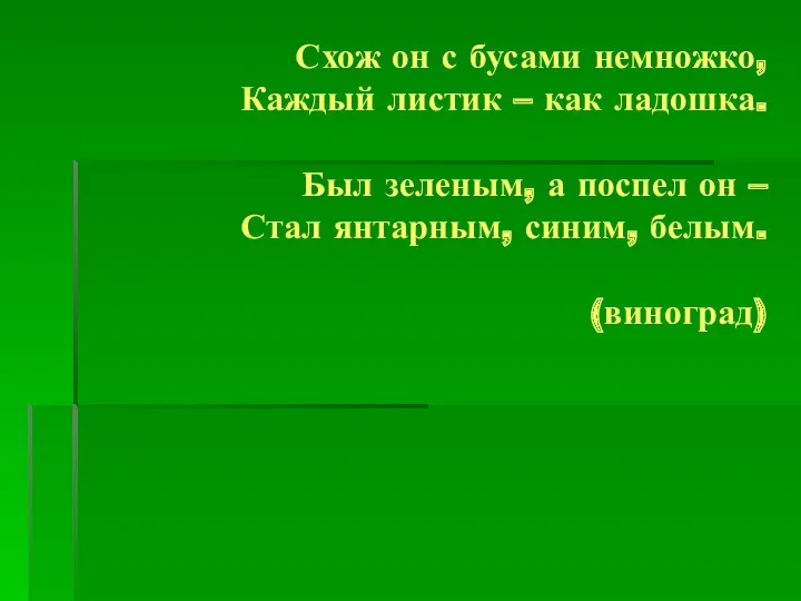 Схож он с бусами немножко, Каждый листик – как ладошка. Был зеленым, а