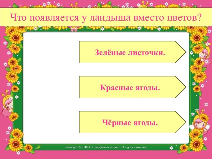 Что появляется у ландыша вместо цветов? Красные ягоды. Чёрные ягоды. Зелёные листочки.