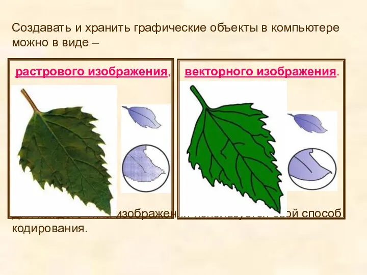 Создавать и хранить графические объекты в компьютере можно в виде