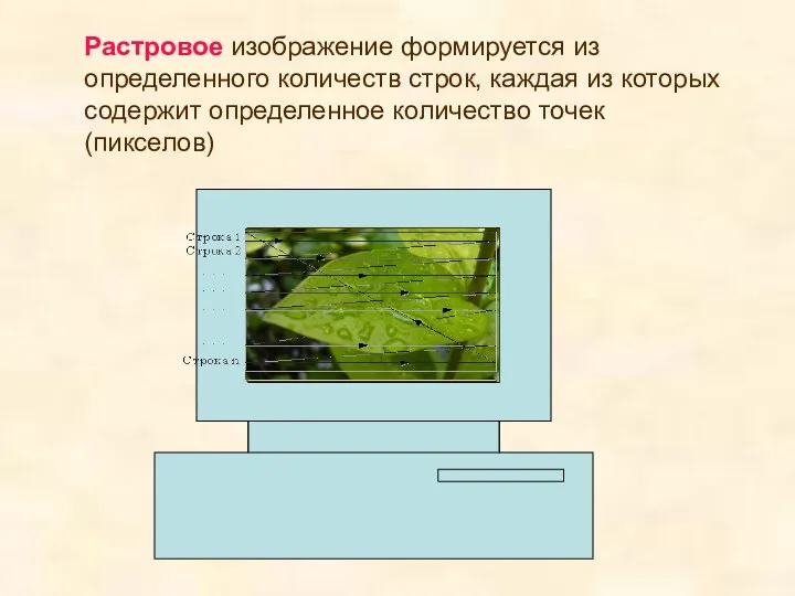 Растровое изображение формируется из определенного количеств строк, каждая из которых содержит определенное количество точек (пикселов)