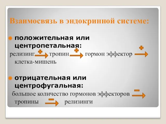 Взаимосвязь в эндокринной системе: положительная или центропетальная: релизинг тропин гормон