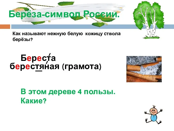 Берёза-символ России. Как называют нежную белую кожицу ствола берёзы? В этом дереве 4 пользы. Какие?