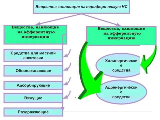 Вещества, влияющие на периферическую НС Вещества, влияющие на афферентную иннервацию