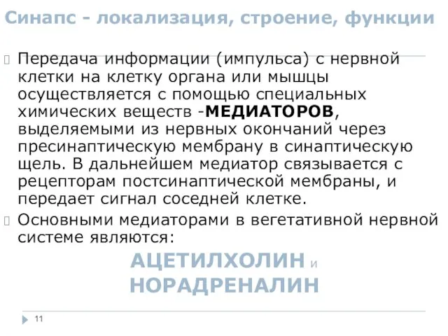 Синапс - локализация, строение, функции Передача информации (импульса) с нервной