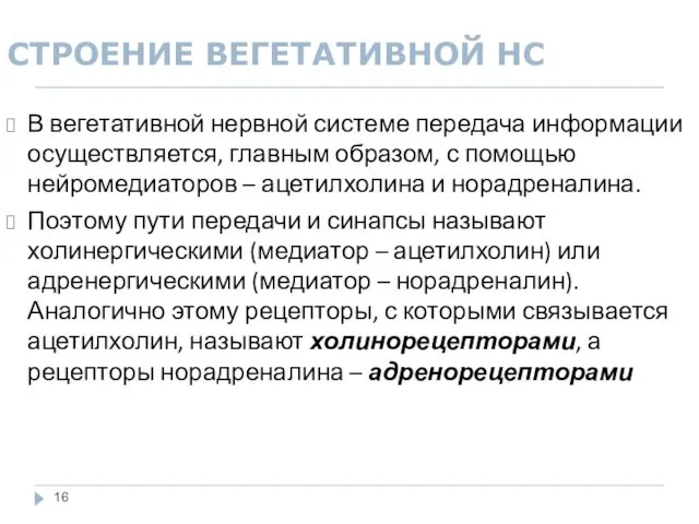 СТРОЕНИЕ ВЕГЕТАТИВНОЙ НС В вегетативной нервной системе передача информации осуществляется,