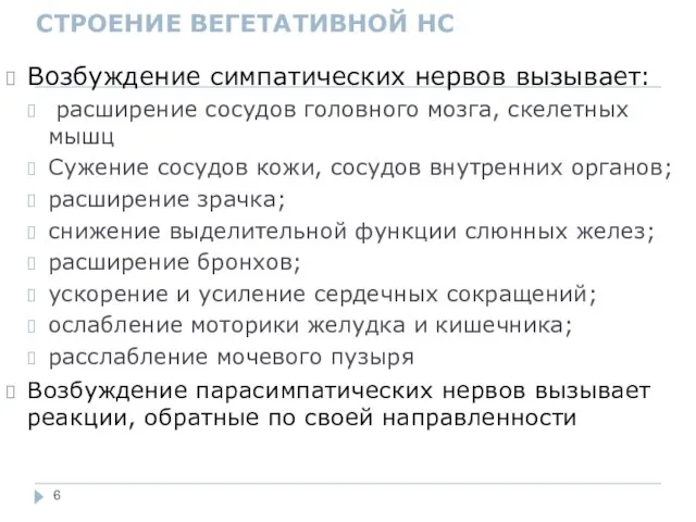 СТРОЕНИЕ ВЕГЕТАТИВНОЙ НС Возбуждение симпатических нервов вызывает: расширение сосудов головного