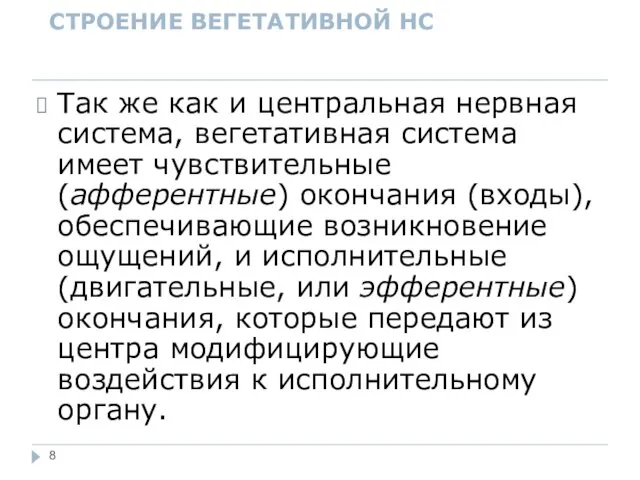 СТРОЕНИЕ ВЕГЕТАТИВНОЙ НС Так же как и центральная нервная система,