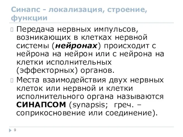 Синапс - локализация, строение, функции Передача нервных импульсов, возникающих в