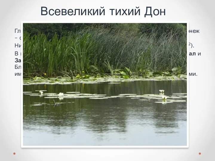 Всевеликий тихий Дон Главнейшие притоки: Непрядва, Красивая Меча, - справа; Воронеж – слева.