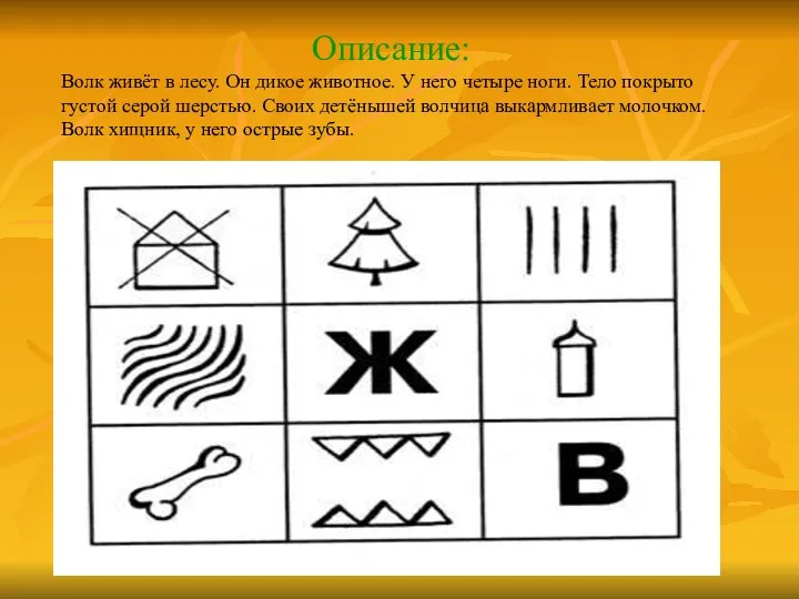 Описание: Волк живёт в лесу. Он дикое животное. У него