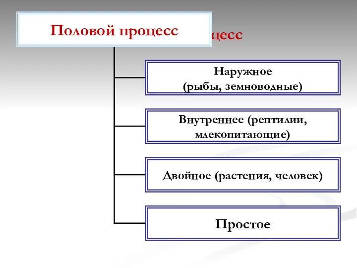 Половой процесс