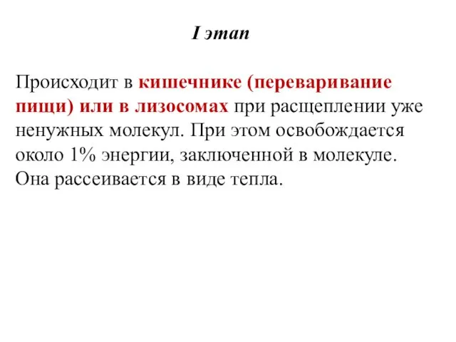 I этап Происходит в кишечнике (переваривание пищи) или в лизосомах