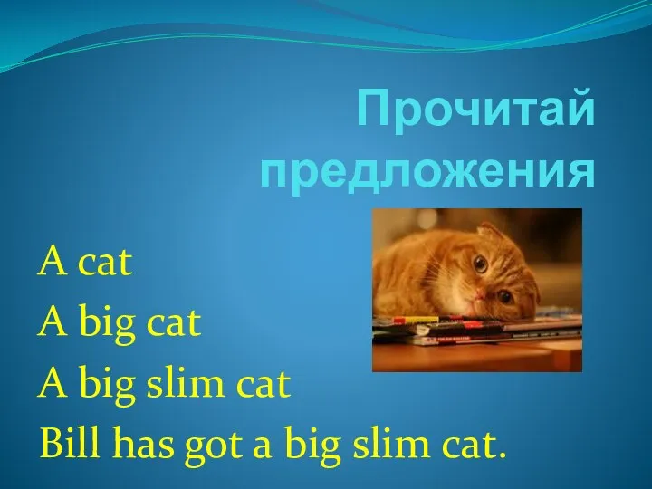 Прочитай предложения A cat A big cat A big slim cat Bill has