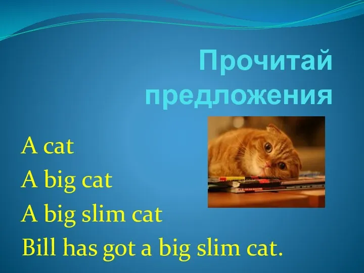 Прочитай предложения A cat A big cat A big slim