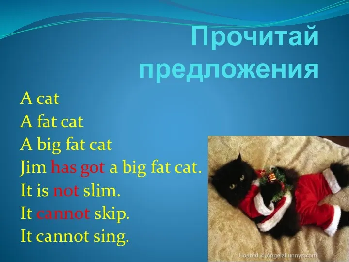 Прочитай предложения A cat A fat cat A big fat cat Jim has