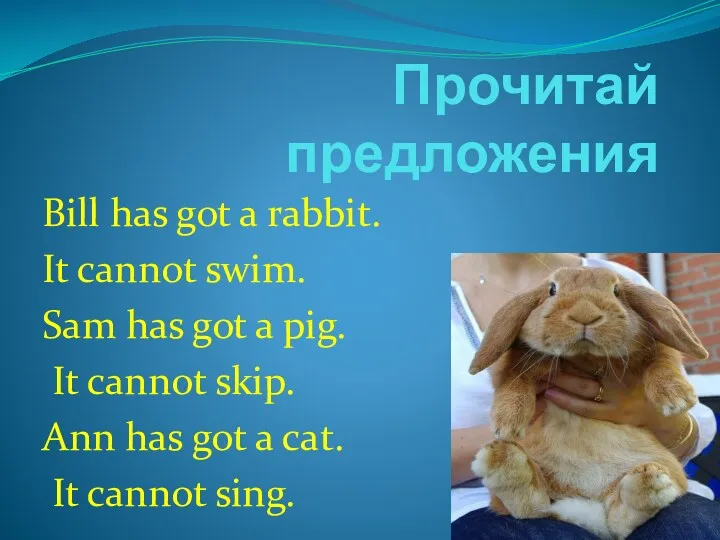 Прочитай предложения Bill has got a rabbit. It cannot swim.