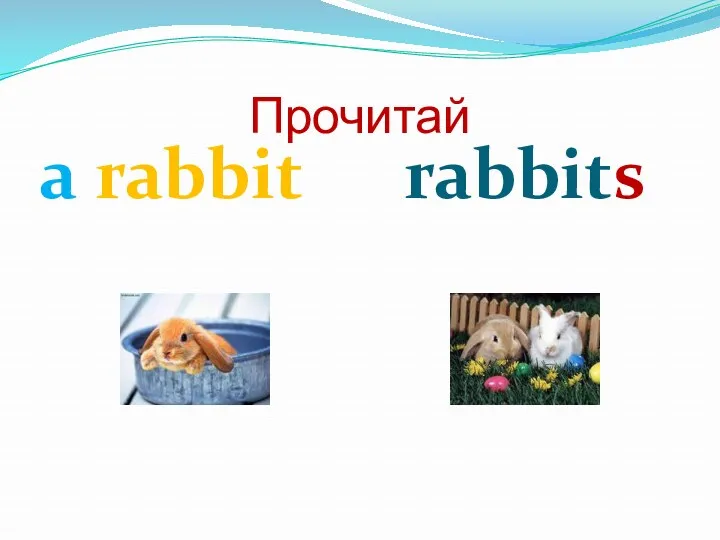 Прочитай a rabbit rabbits