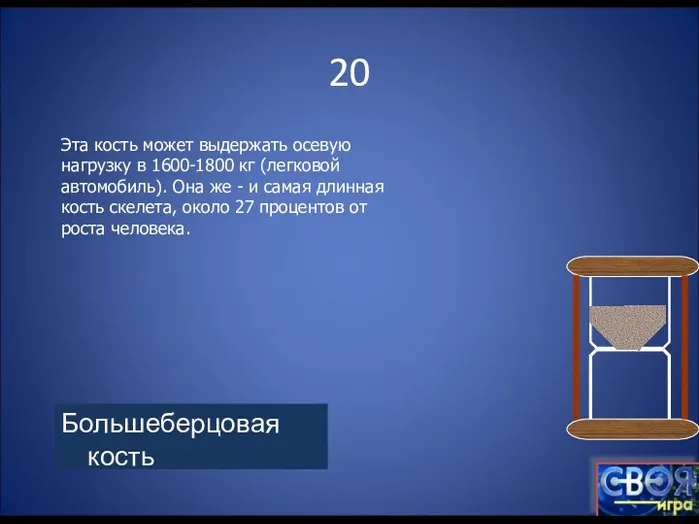 20 Большеберцовая кость Эта кость может выдержать осевую нагрузку в